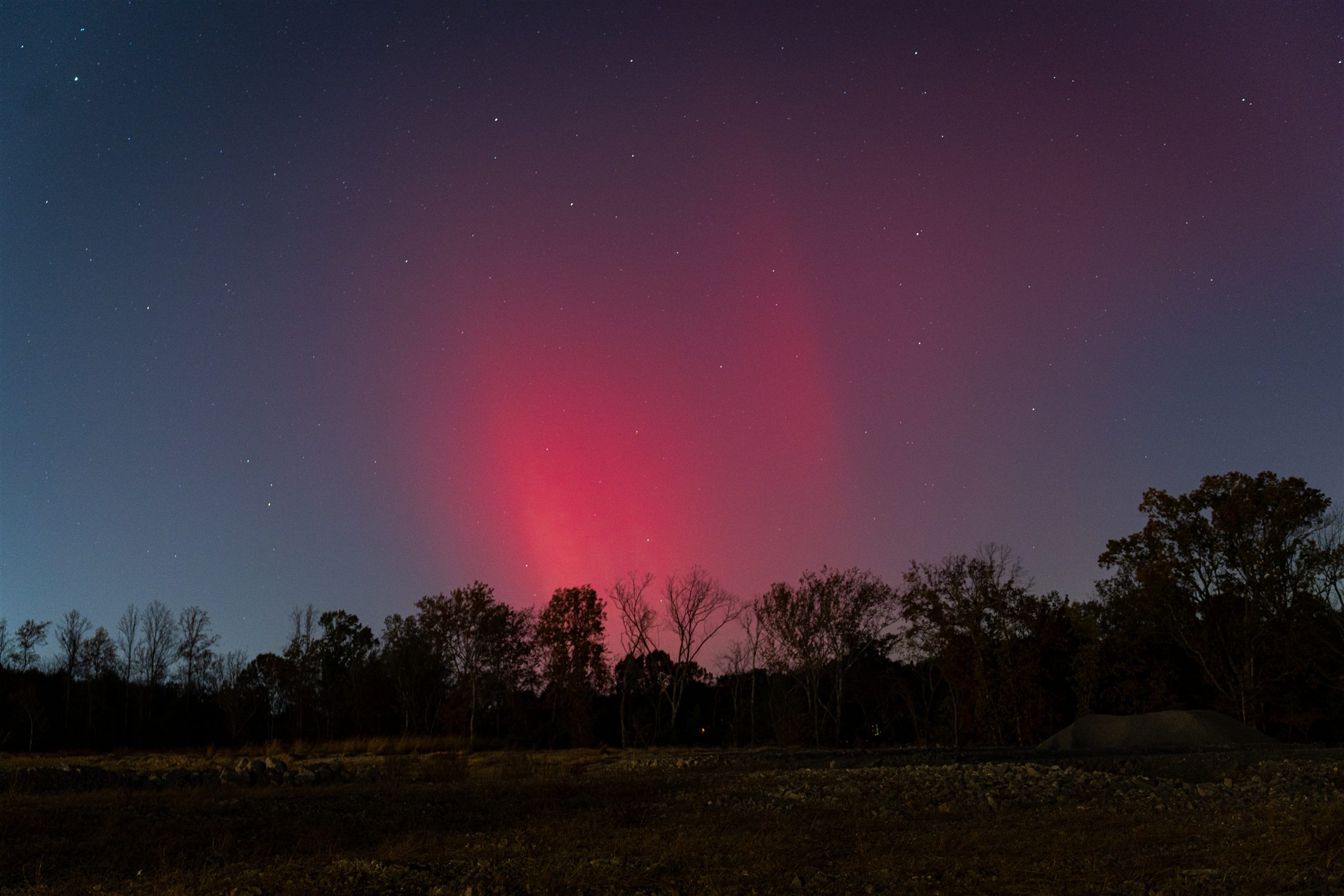 Red and pink aurora over a dark treeline